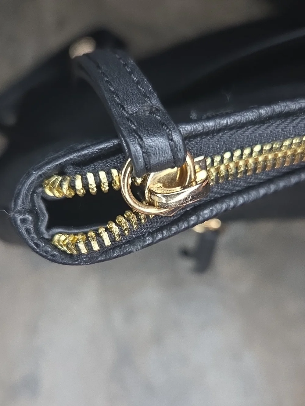 Giorgio Fiorelli Finn Backpack In Black